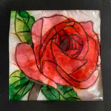Rose in tissue on tracing paper