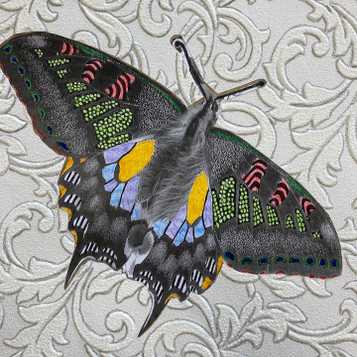 Butterfly on wallpaper with drawing and collage decoration